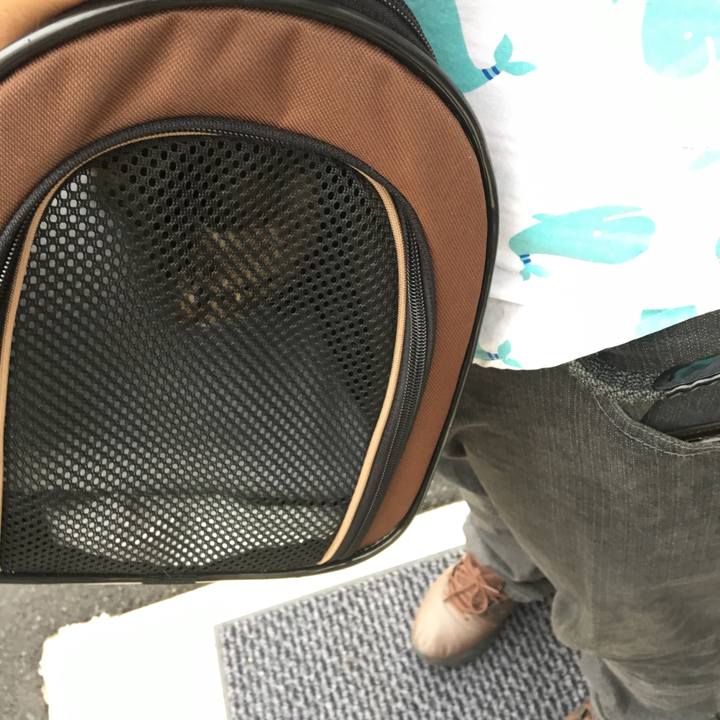 6dddf824 b8b3 415d 81f1 2b9e21b37a9d 1537575350625