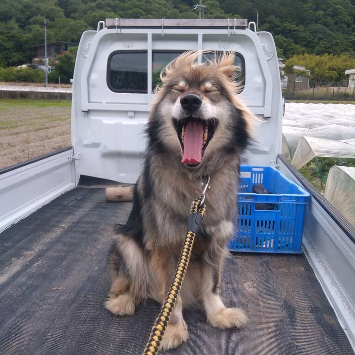 6dde03ea c12b 4aaa a2f7 1b1d0b0dcf22 1590160313905