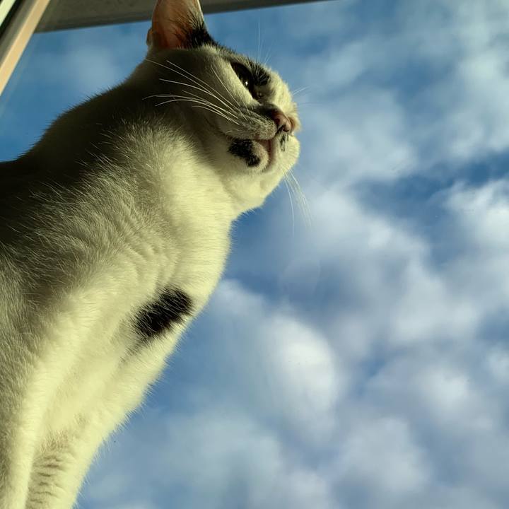 6dde0913 2931 4dae b6de c9c829ae0064 1758921706404