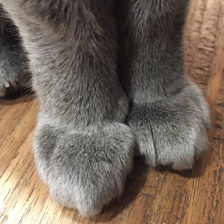 6dde3f55 5c18 4a95 a11d 2b327c0b1c6a 1514502425472