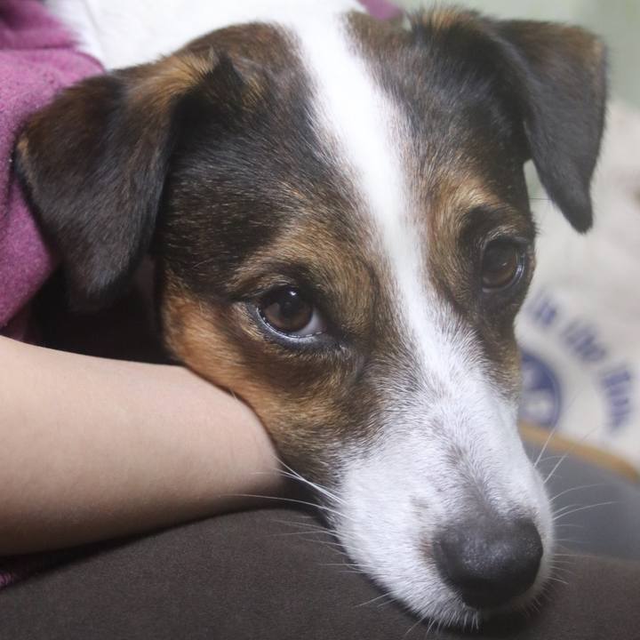 6dde6f4b 1781 435b bff8 dee3c8980f02 1512387945292