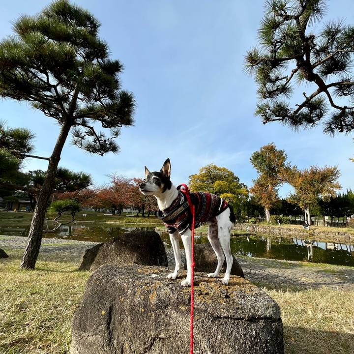 6dde9f21 36da 44dc 9b34 04403f100d06 1637459675498