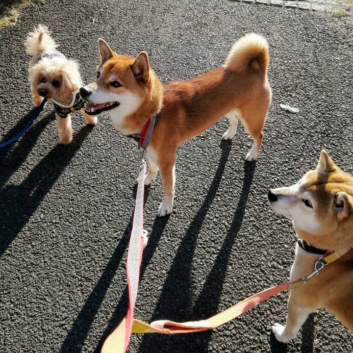 6ddea0ca 7a06 4134 81cb 8e415788fb46 1607324814373