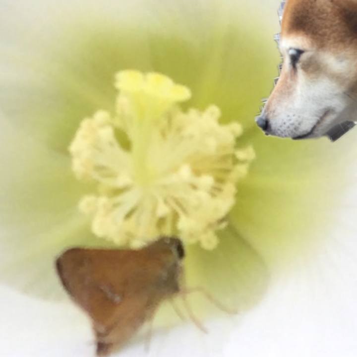 6ddea83d 7e39 4ab2 a8c7 53aa1cc7308d 1632574608404