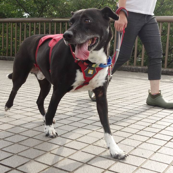 6ddedfab c4be 4be1 9135 0d628ab3313f 1688084514279