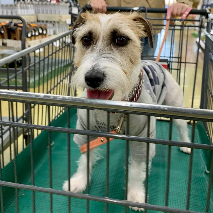 6ddee2a0 f32e 466e b6fc 30ad1da00528 1636876682440