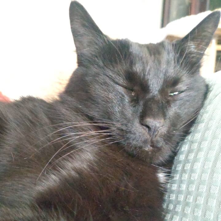 6ddee699 0db4 4ff7 8fa9 b7f6e8a0a46f 1710739251615