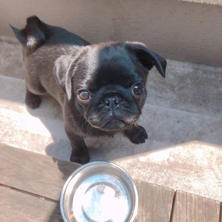 6ddee6dc c4e6 48ab aac3 daebf26a58a6 1588386386701