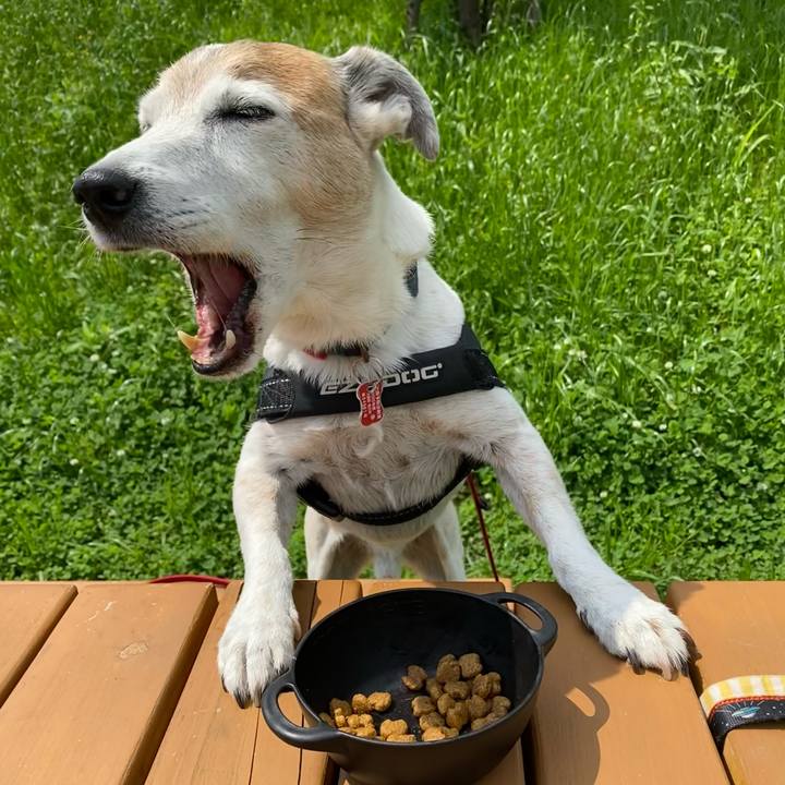 6ddef128 e730 4c1a a1da ac36b7326ade 1621750522286