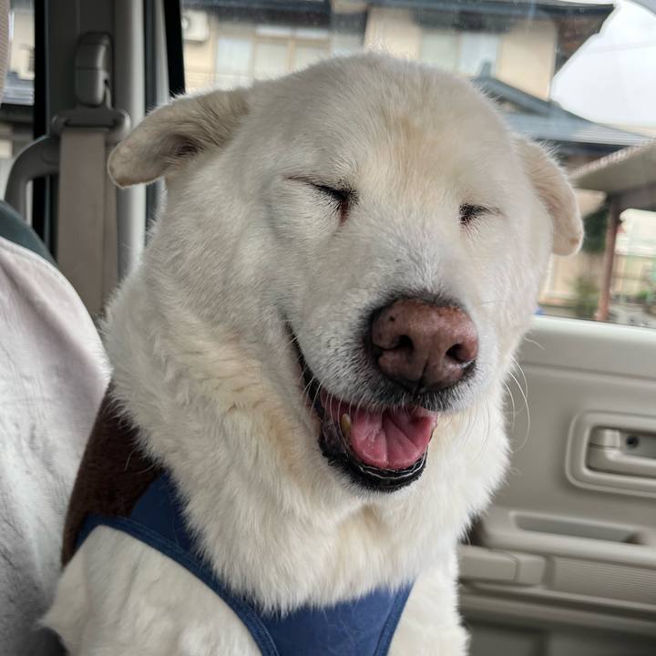 6ddeffc1 e7e8 4363 b6d7 6e31ddd162f4 1766014694710