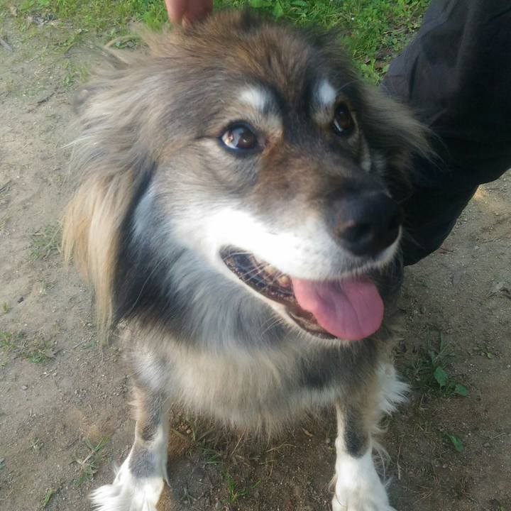 6ddf0a74 e99a 4225 9b69 73337045fa6c 1541497871767