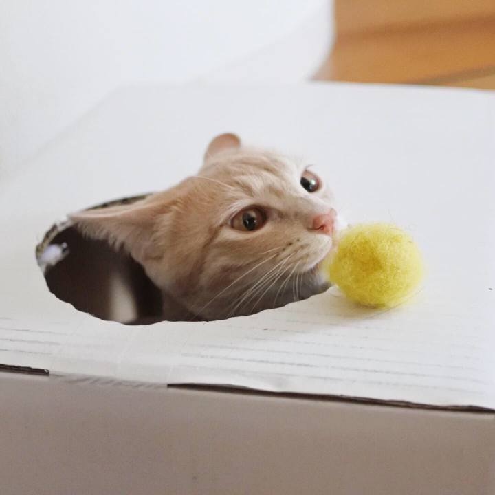 6ddf602e 9ee5 48df 8419 e908b7dfd7d5 1566440051668