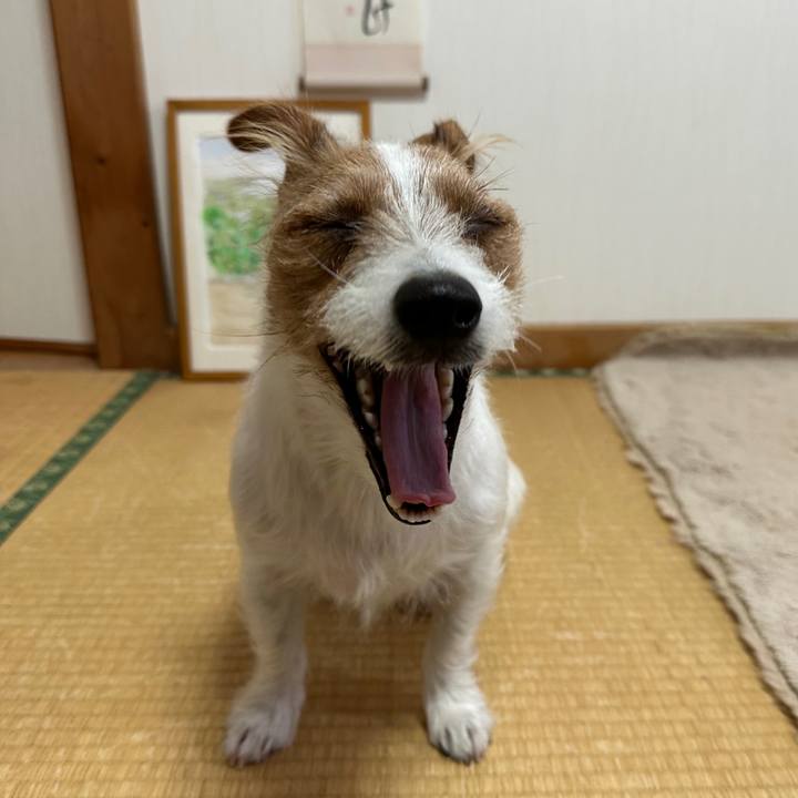 6ddf6c2c 4655 47f4 acb1 225f6e4be843 1765491492995