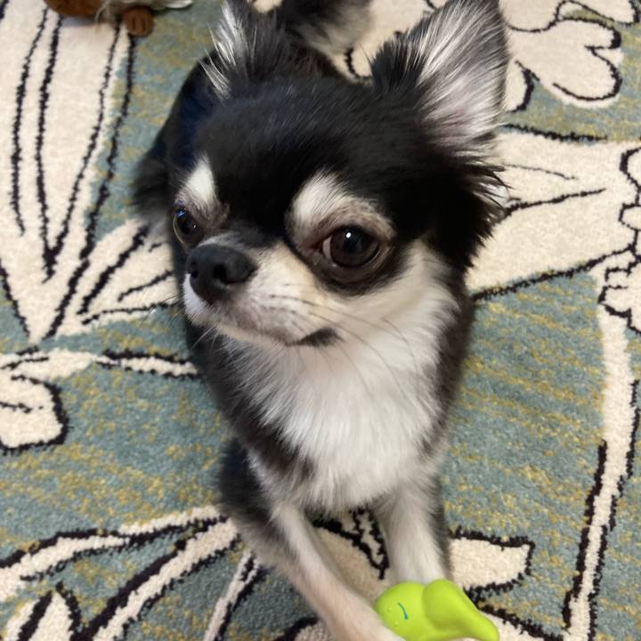 6ddf85c2 6b0f 4668 9b77 f3afe0ca8c82 1626580283506