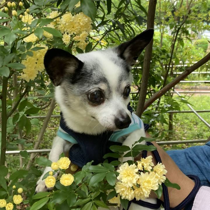 6ddfc948 0b8f 4bac a143 617b6c694565 1772784022131