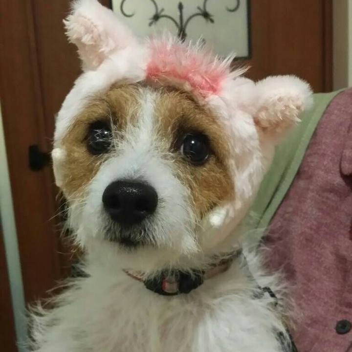 6de0231f d17c 4aba b0e6 2c8eaf00b5a5 1539858253043