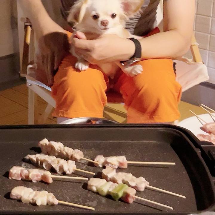 6de03d21 ce37 4321 a38a 6877e24a99eb 1691932070251