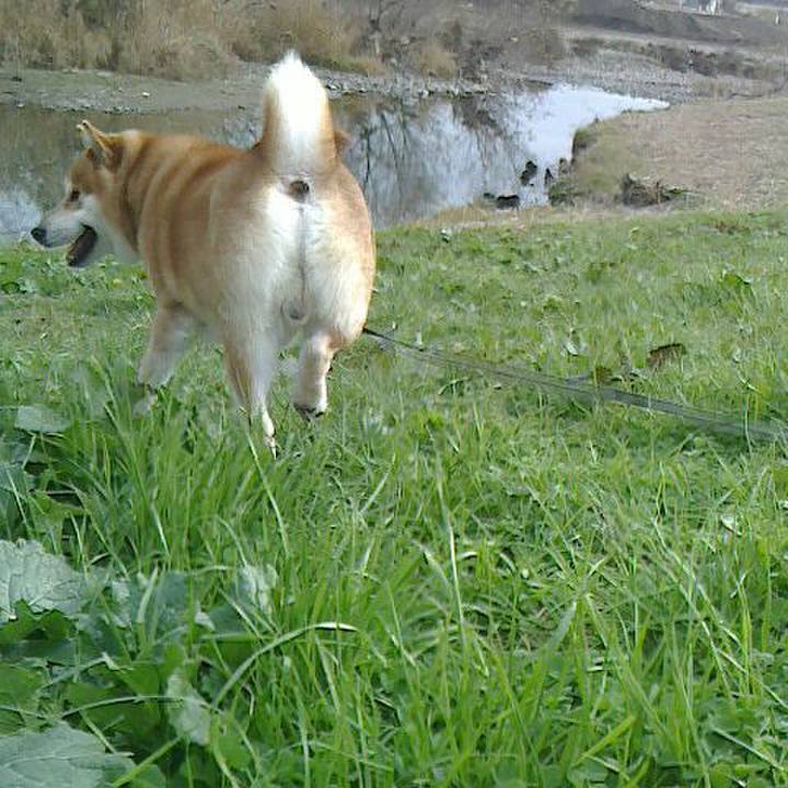 6de06b48 5459 4c2e 8ef5 50fae77add5e 1576808181194