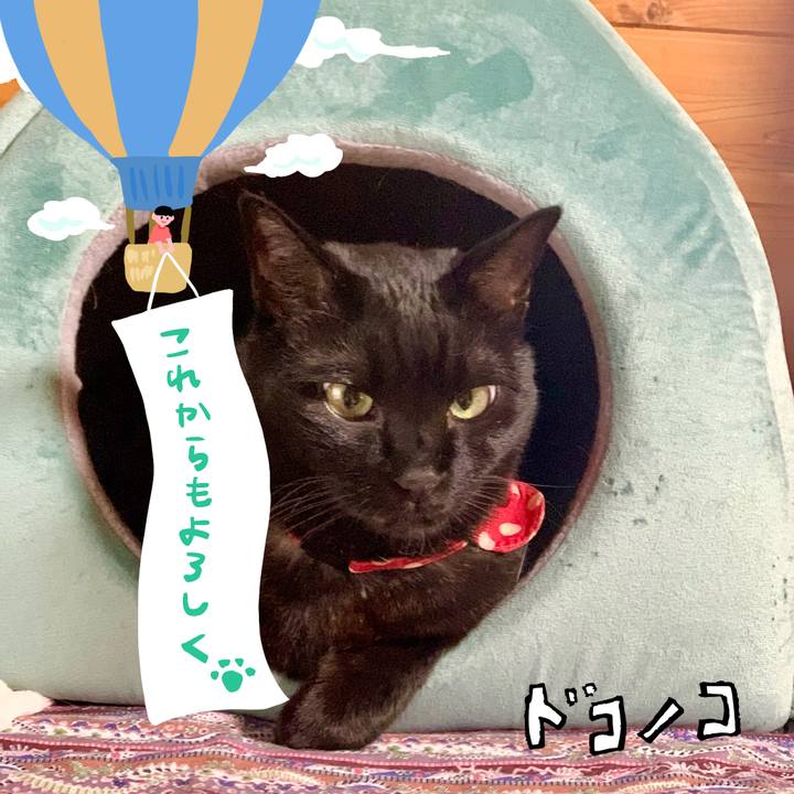 6de06f6a 20e3 4c1d b494 f04b920f5d72 1685934411613