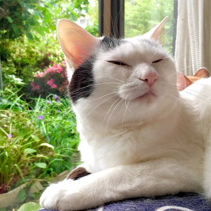 6de07fca ac23 49f1 811c 32c3f4f06a72 1592036744686