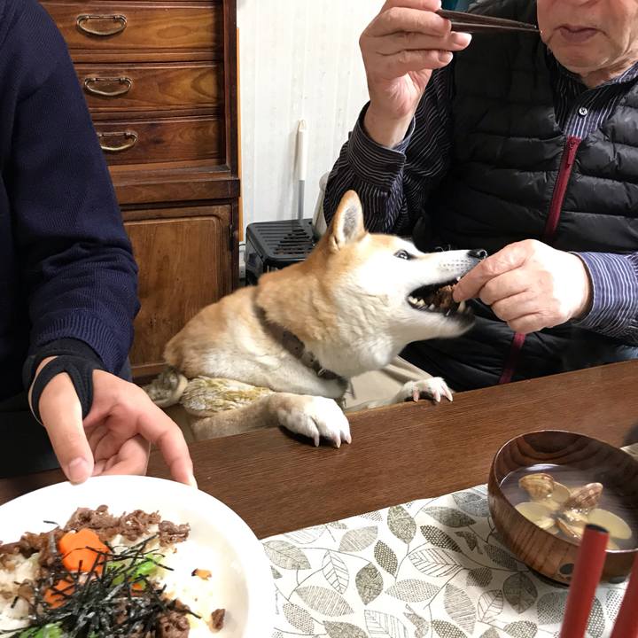 6de0d821 6049 42a0 a5ea c666a8f9a40e 1550655797952