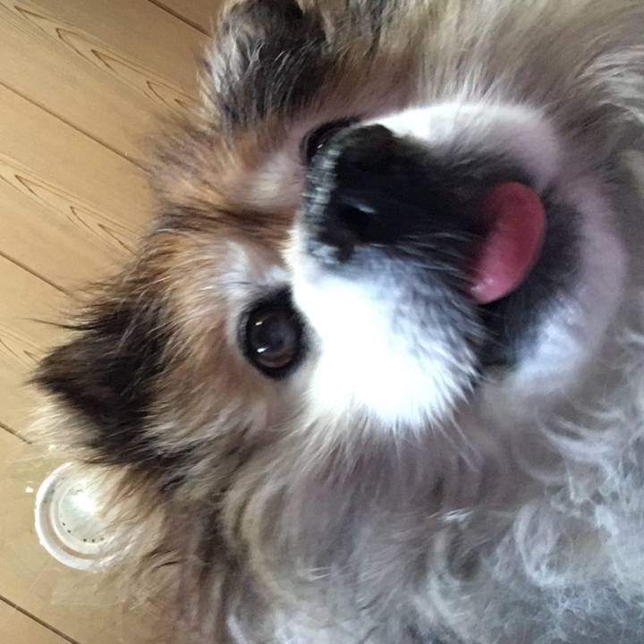 6de0e9db a1a1 4684 8a47 abee7989fdee 1568118219082