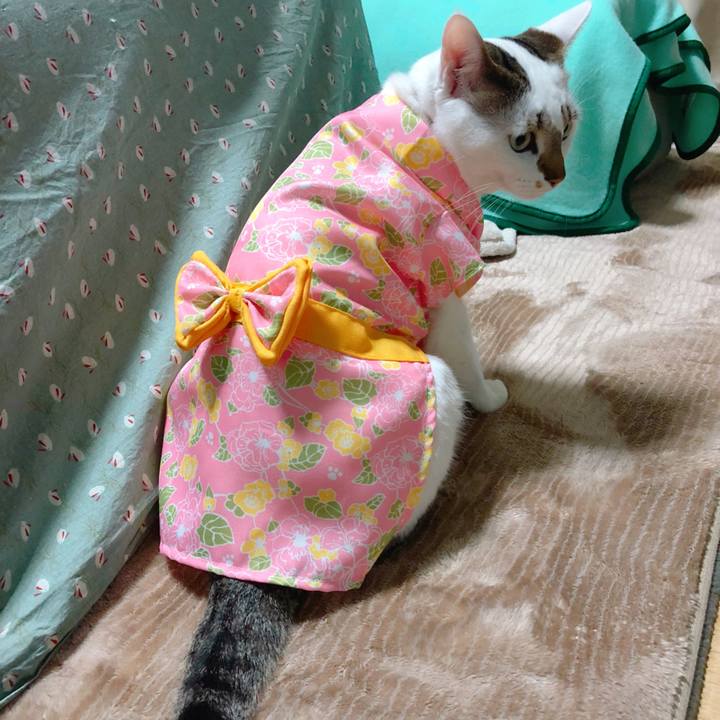 6de16637 3b11 4991 ad87 1b7a19077960 1520681346187