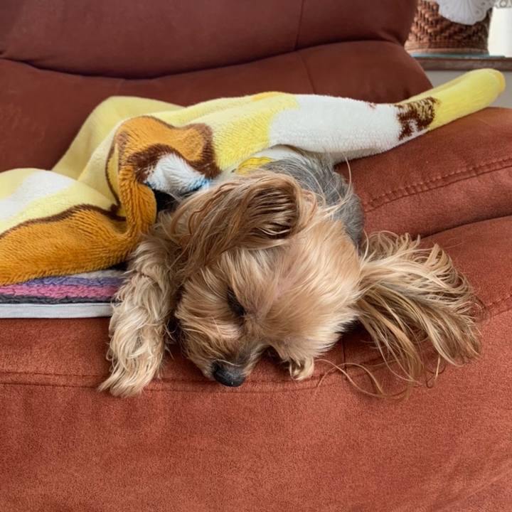 6de1709d 454a 4ce7 aa98 37eec246e3c3 1613469231109