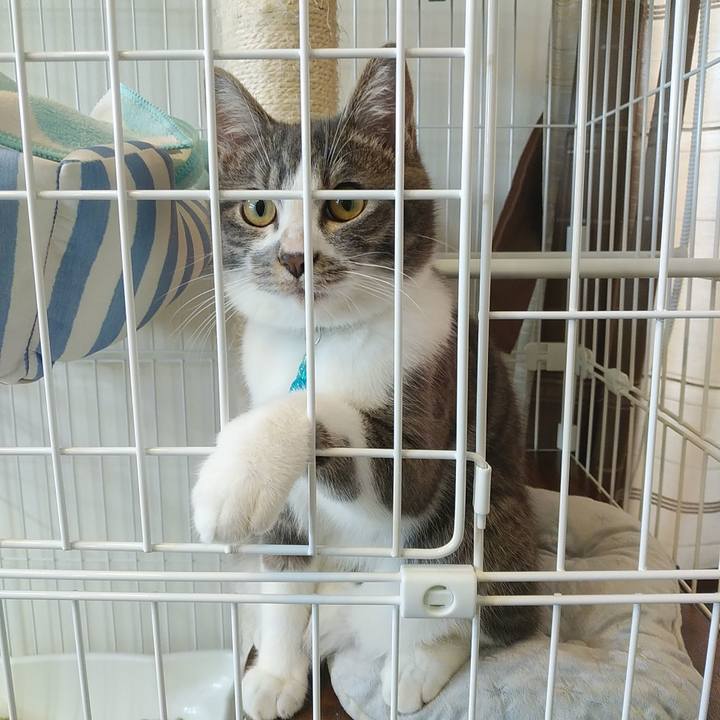 6de18459 4f53 4cd9 be44 d95dea16692b 1574751924763