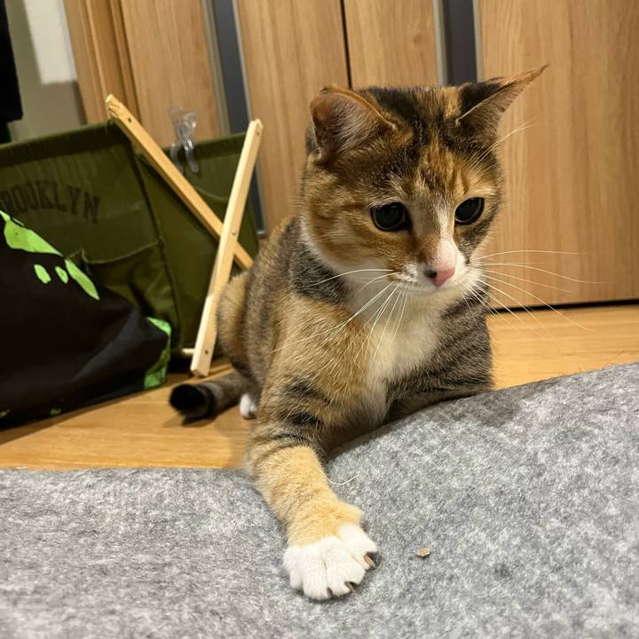 6de1edde d4c1 4d6f bead 377979f16a7b 1713533028202