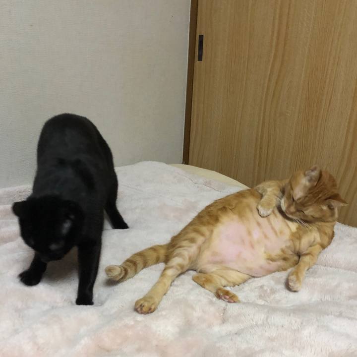 6de1f6ec 367b 434e afe8 532d1cfd270f 1711146480436