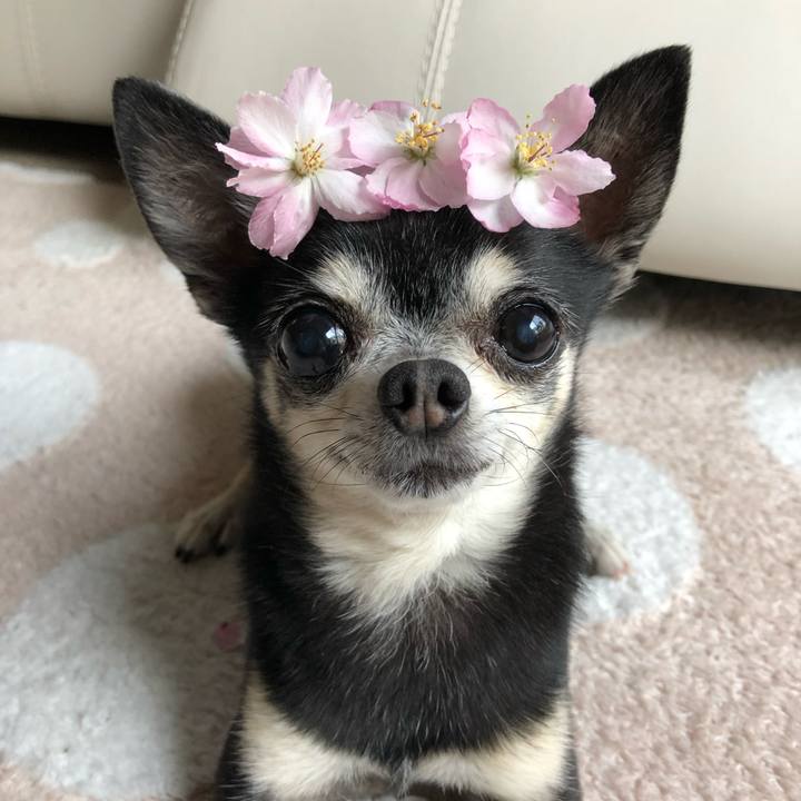 6de2182b 3e92 4177 aa41 1675ccd28c5a 1772785086388