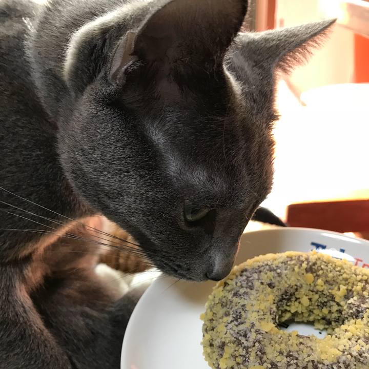 6de25144 3998 4119 a81f b3388a316092 1517362905863