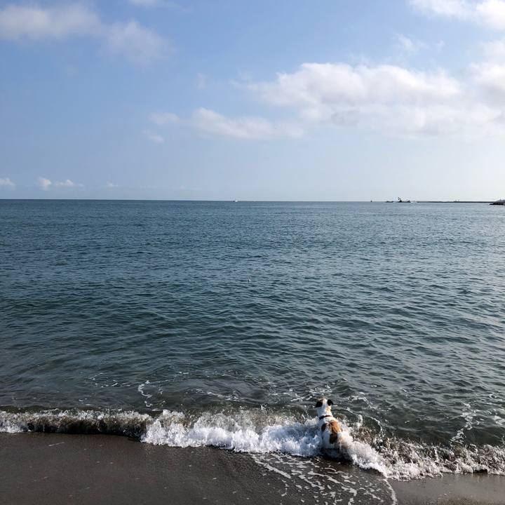 6de261c8 b00a 4fcd aa61 3e88881f7dcf 1598223502120