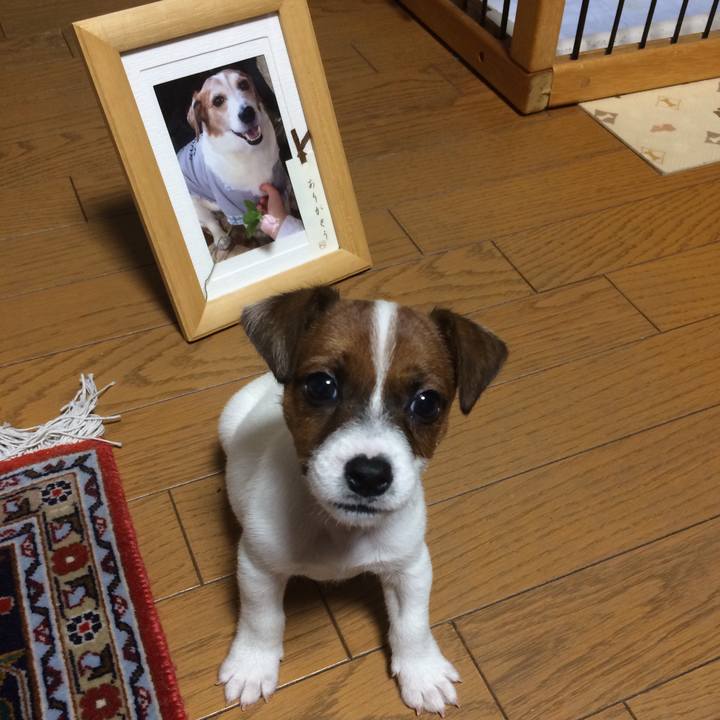 6de28d88 8d21 45aa 89dc 6fe59ebdf636 1509279422967