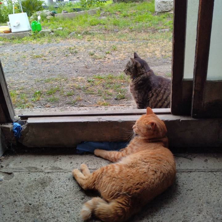 6de2b68f fd99 4b7c bb06 16764430663a 1687838108322