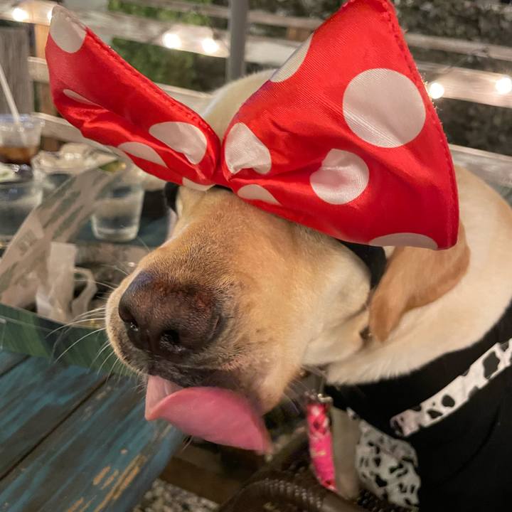 6de2cf40 1130 4bec 9ed0 79b2c6299cdc 1663074640092