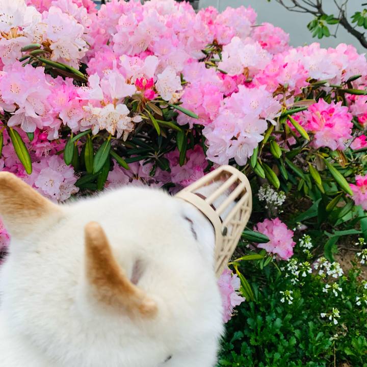 6de2d8ae 9124 434e 876b 401291cd110e 1652300030965