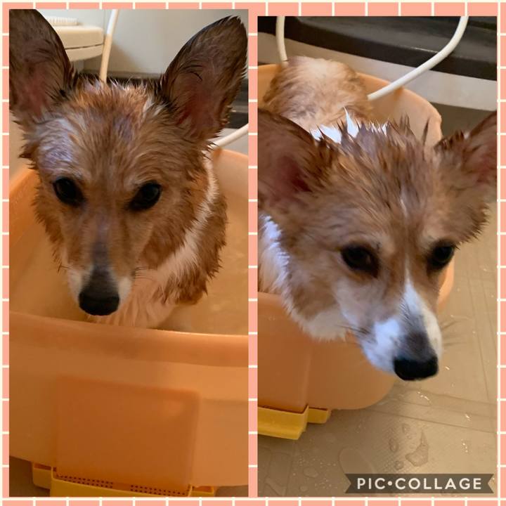 6de36235 ded3 4ead acb3 8aa46d624782 1582530021129