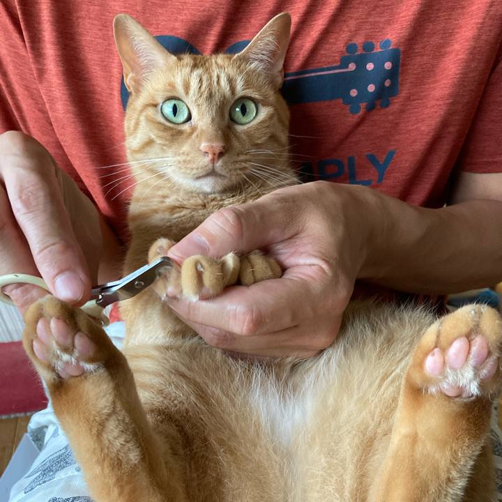 6de39783 eb42 43d2 82a7 084cffee1941 1628546266346