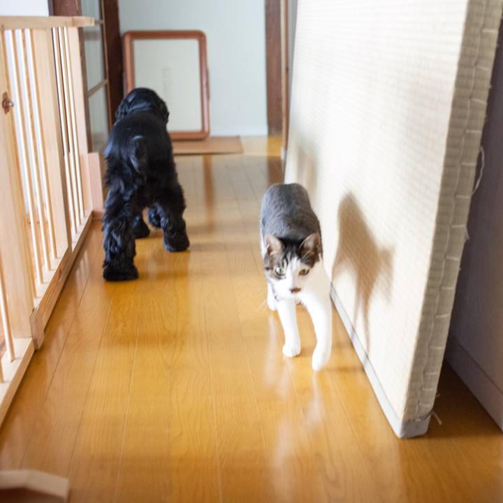 6de41a8f 6161 441c a771 7ee97eb89c89 1575942902360