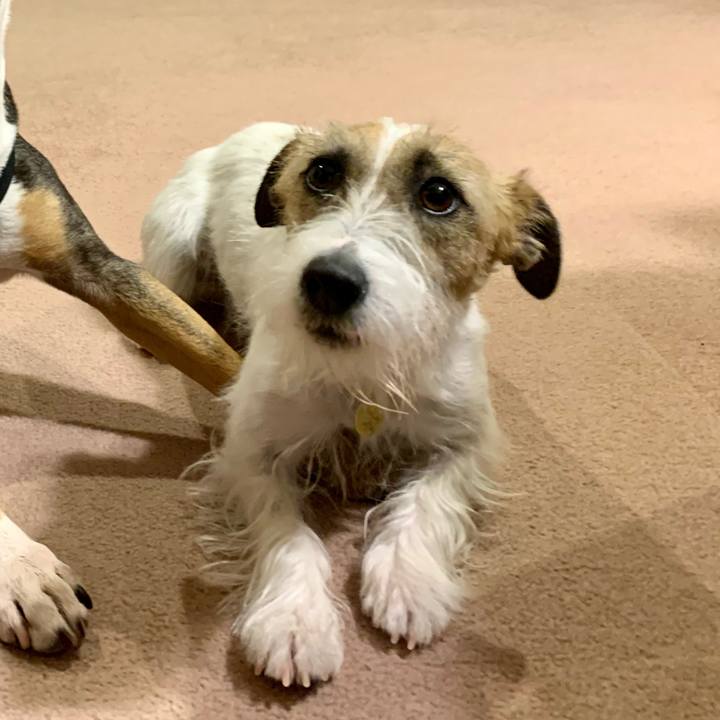 6de42e2c 6445 495b 8719 1f803bef8053 1615235256347