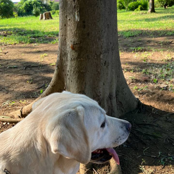 6de43da7 0469 4641 a97e bdb4cbbeb332 1690503945749