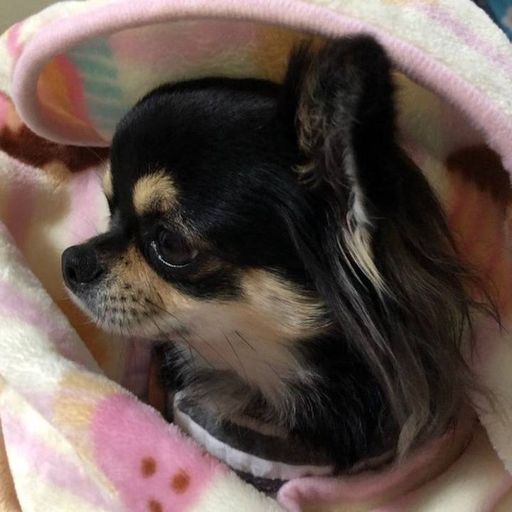 6de44053 0e10 46eb a260 e5849cf4aee2 1575326940020