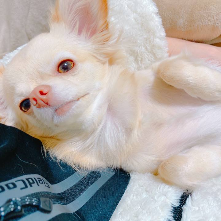 6de46758 89a9 4c3f bb1b 93e16e404a99 1641712387545