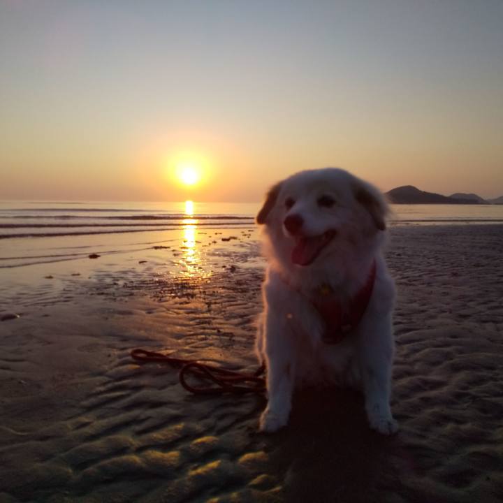 6de476ee 49c9 46aa b00f ebd5db01c313 1566035604357