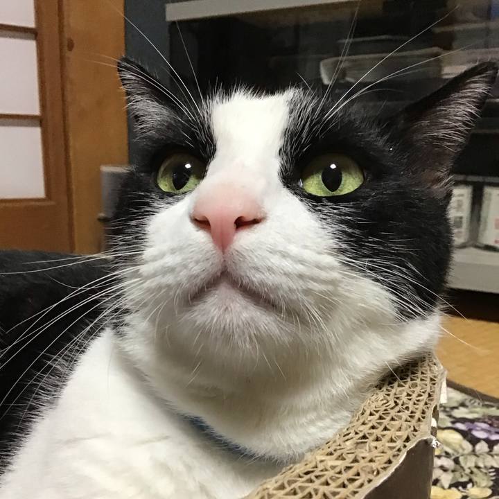 6de48095 0fec 469d 8450 08e295af02c6 1720001224658