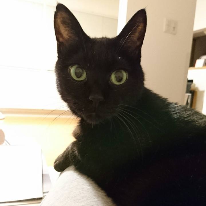 6de4ad87 532e 4b5e bb1f 8b6f98c5b364 1509572343976