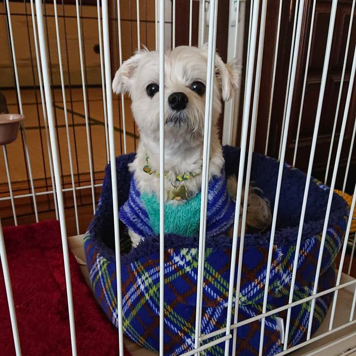 6de4b826 ddbf 40eb a29a 607705870a47 1578577233088