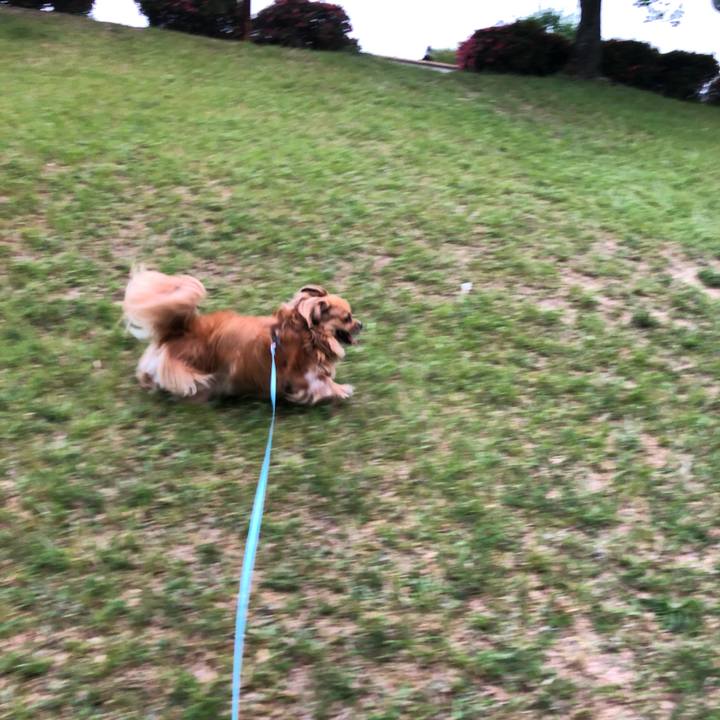 6de4bdc1 bf39 4d91 a3fe 845d8dcd7b4d 1559856302929